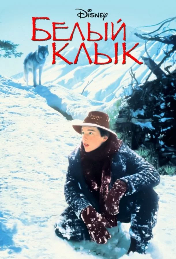 постер