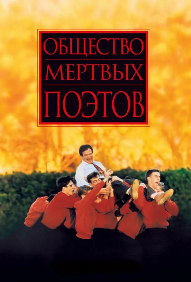 постер