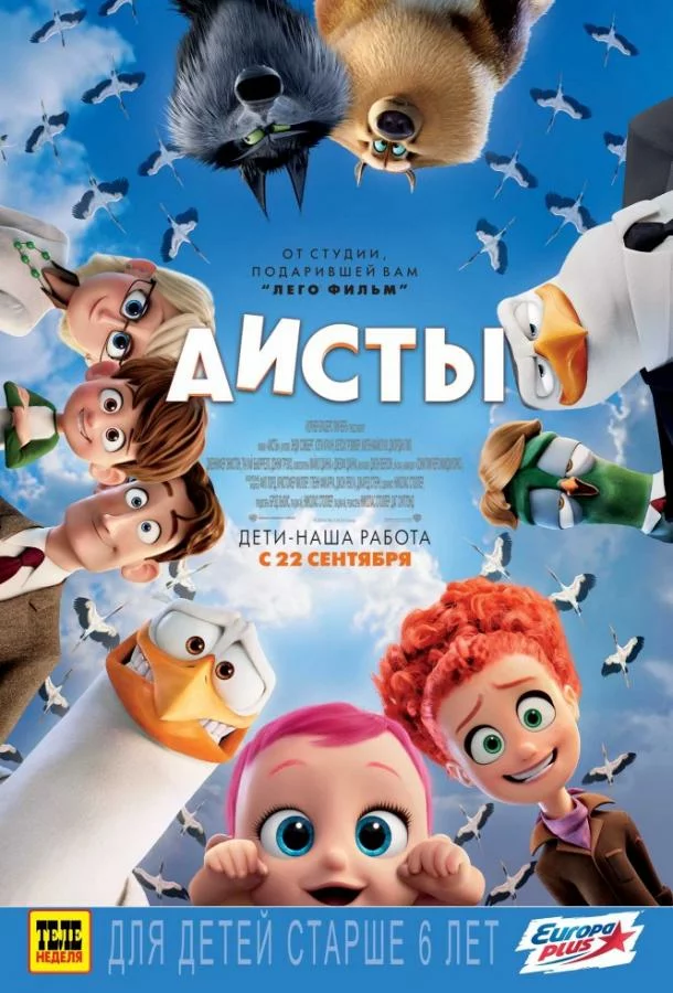 постер