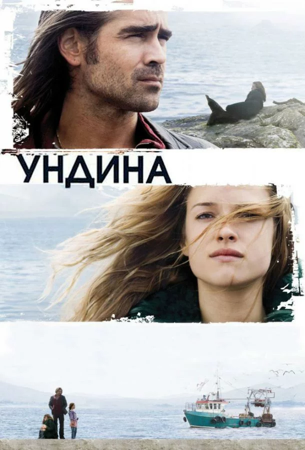 постер