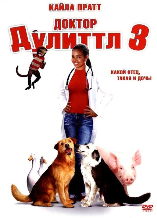 постер