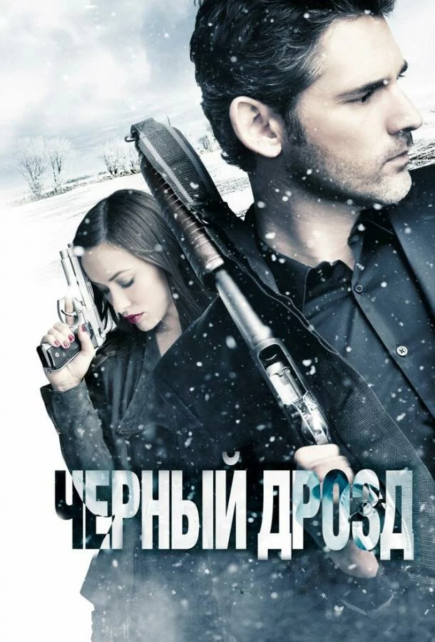 постер