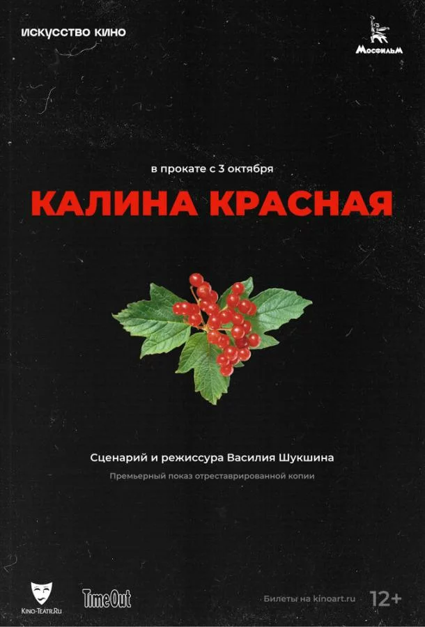 постер