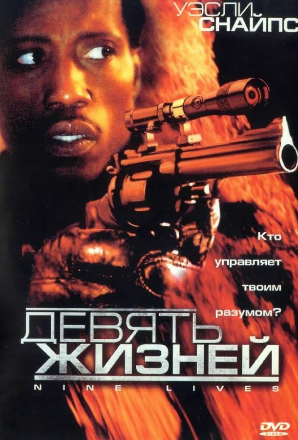 постер