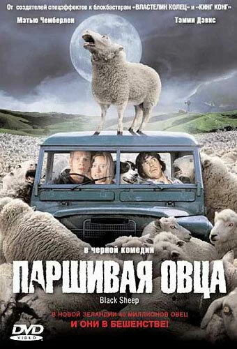 постер