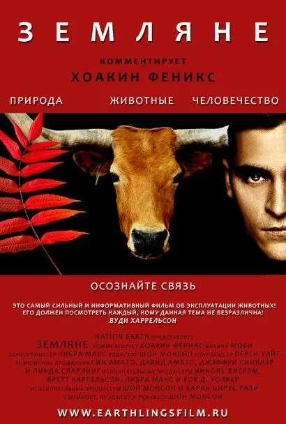 постер
