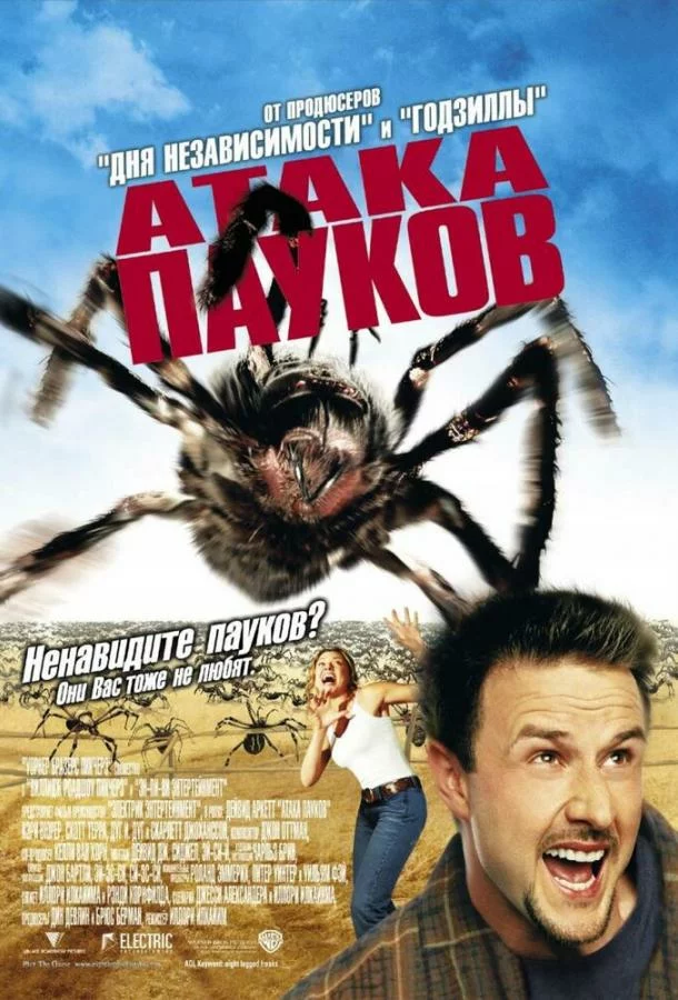 постер