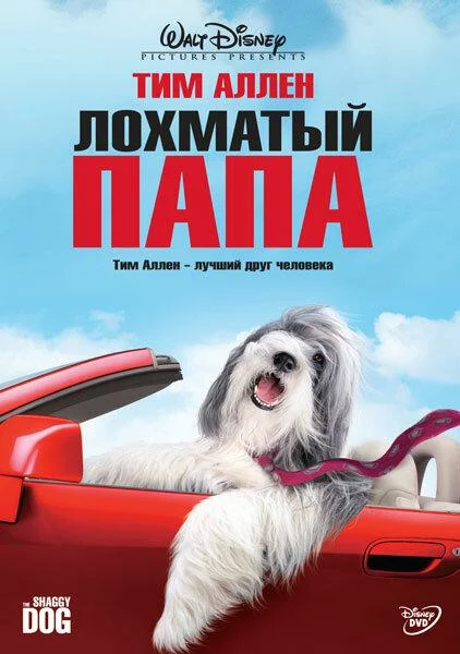постер