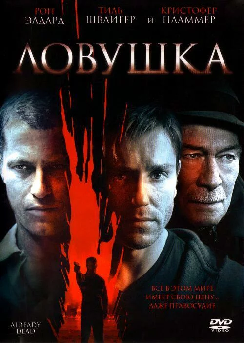 постер