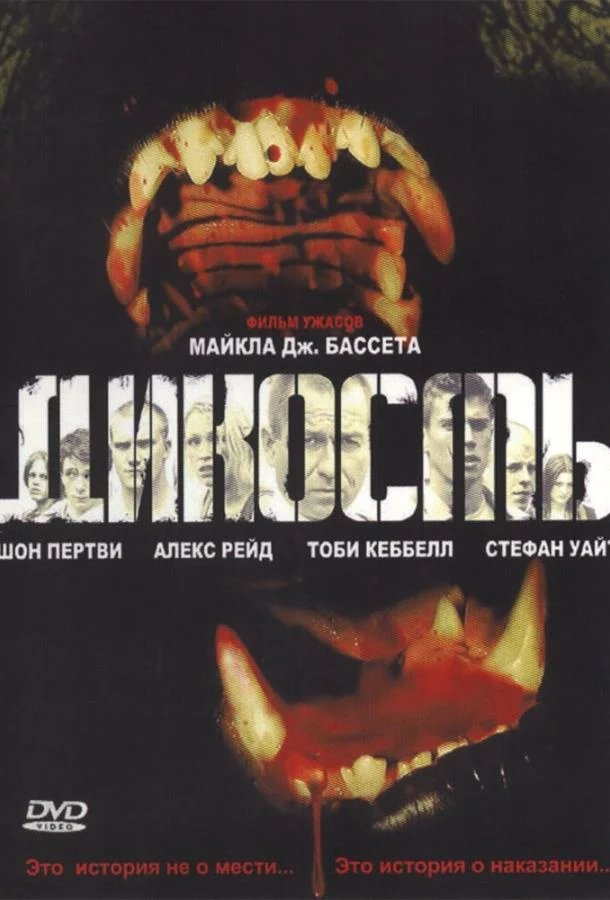 постер