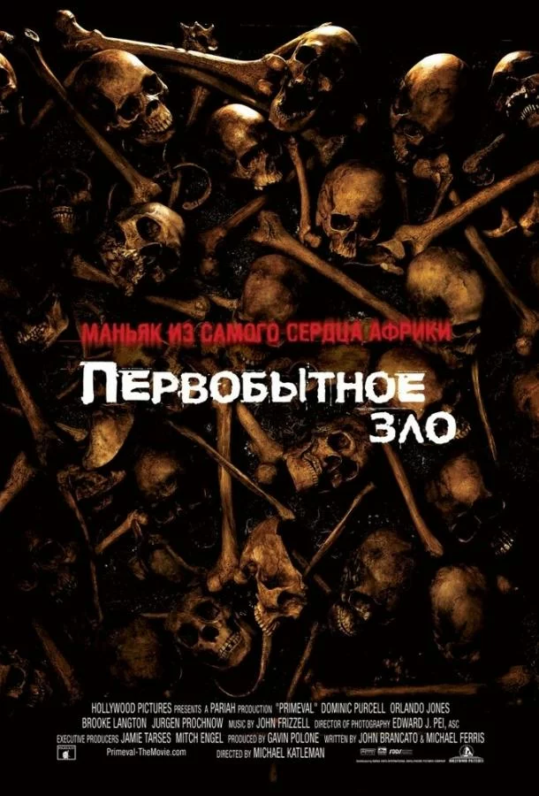 постер