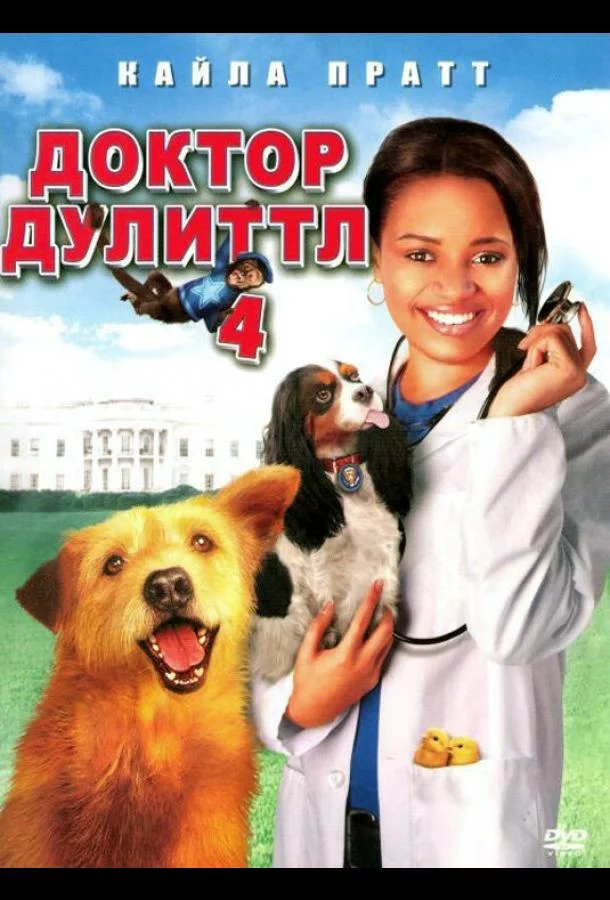 постер