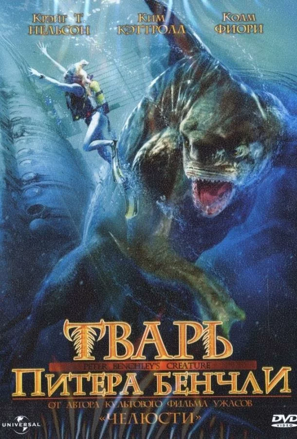 постер