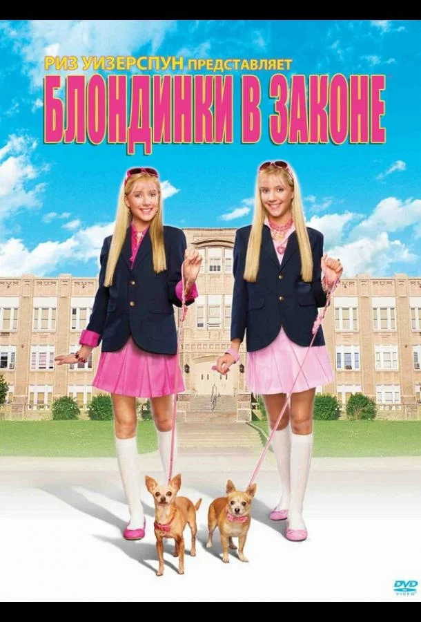 постер