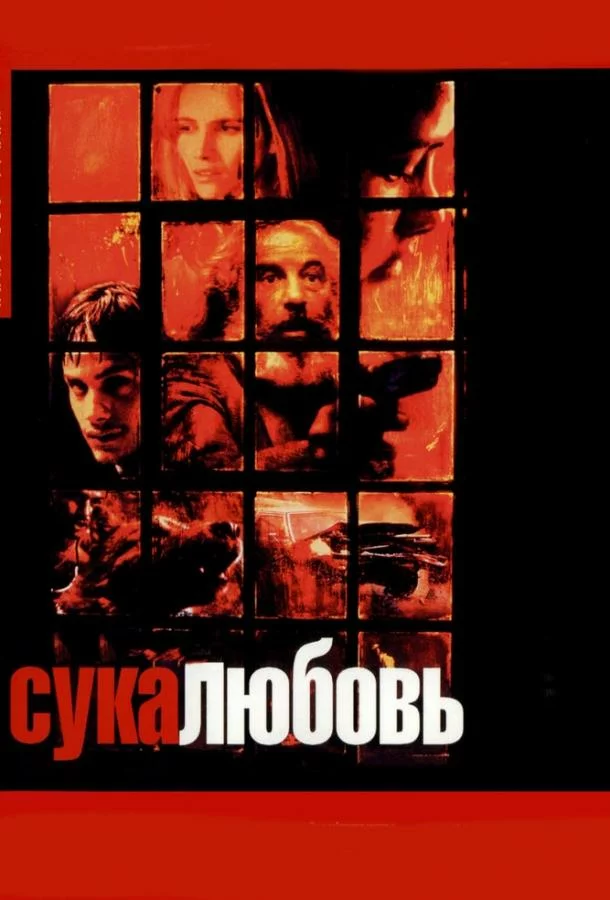 постер