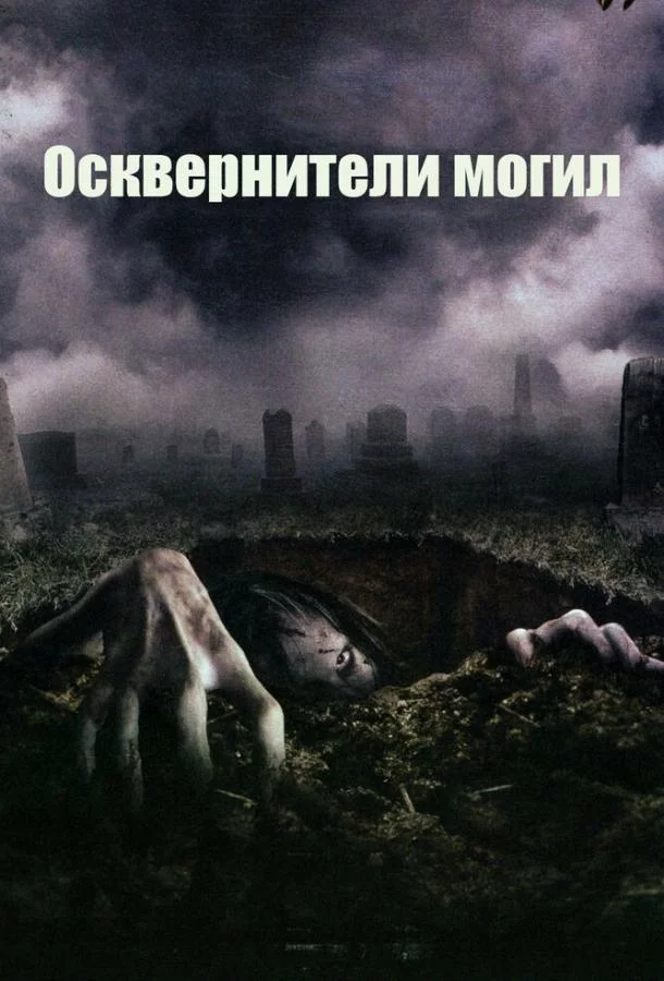 постер