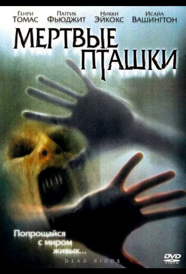 постер