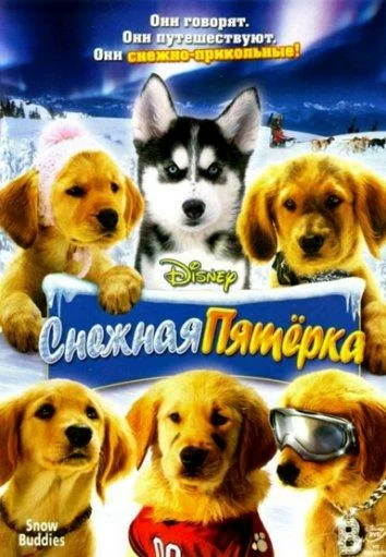 постер