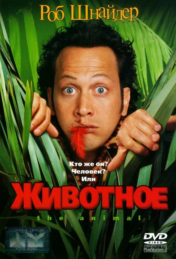 постер