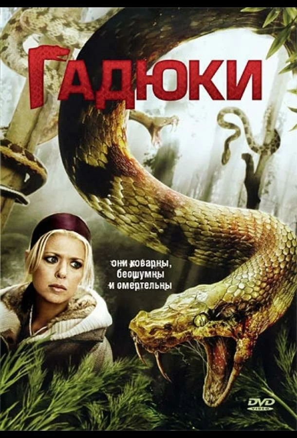 постер