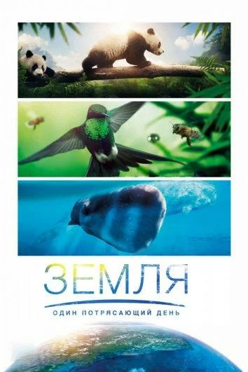 постер
