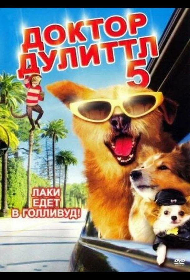 постер