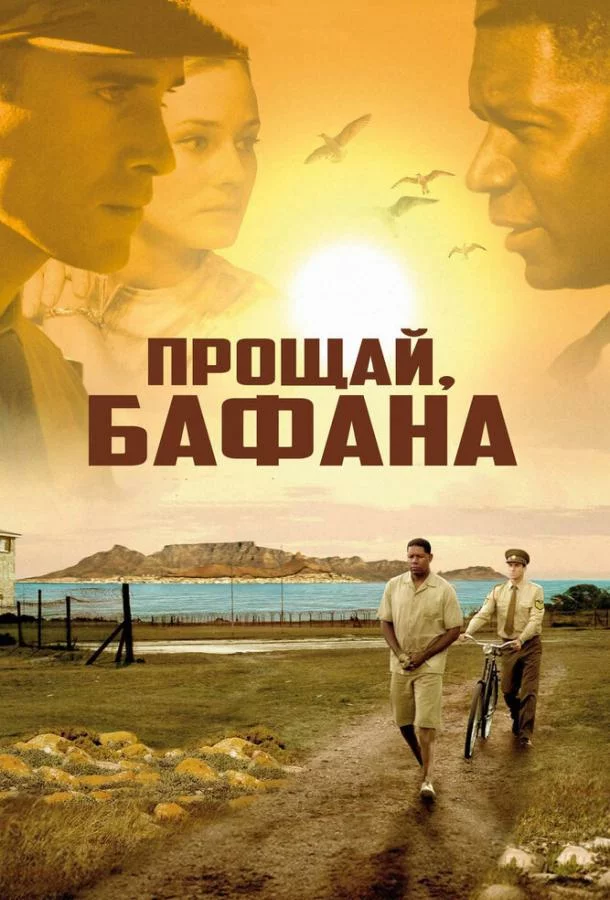 постер