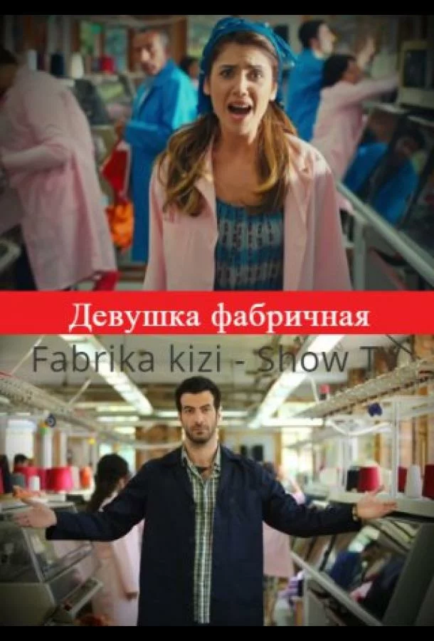 постер