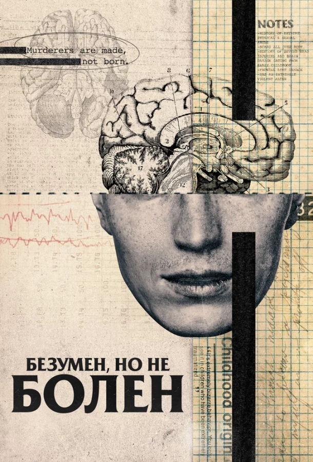 постер