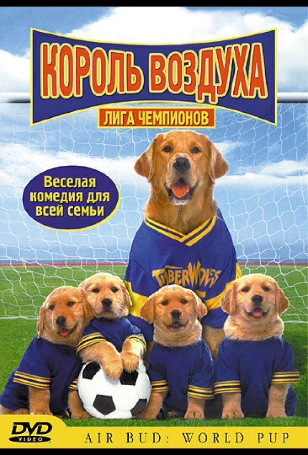 постер
