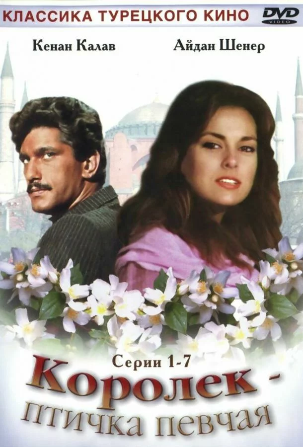 постер