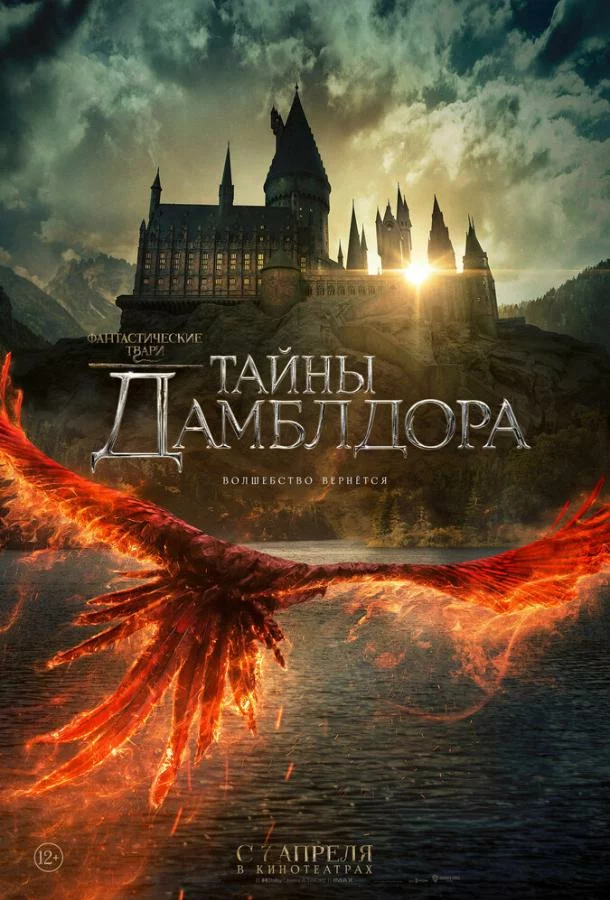 постер
