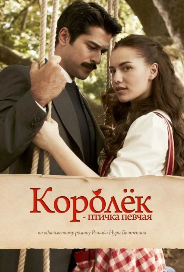 постер
