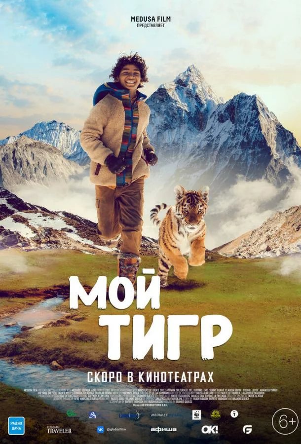 постер