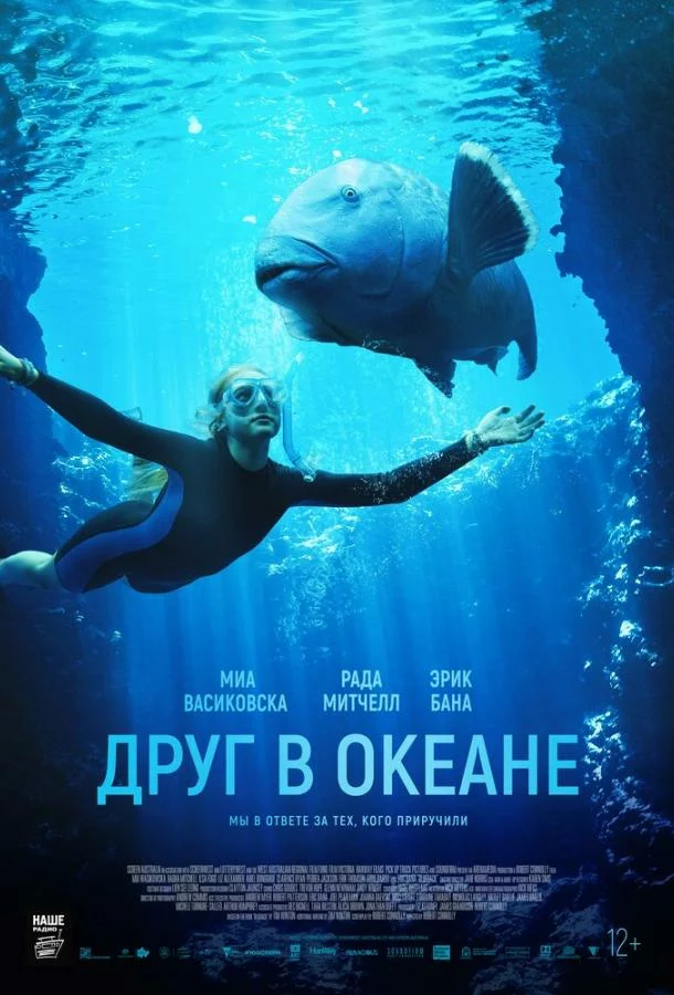 постер
