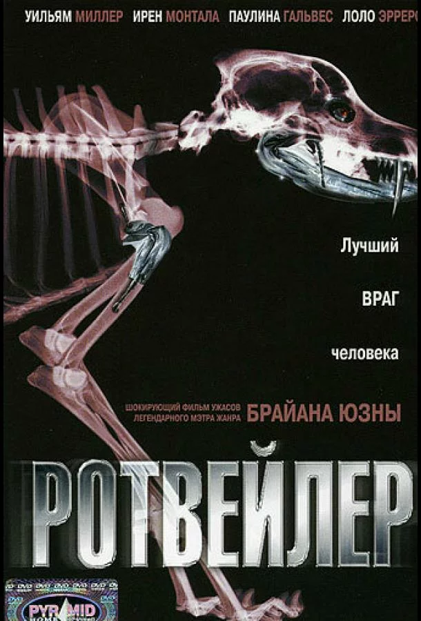 постер
