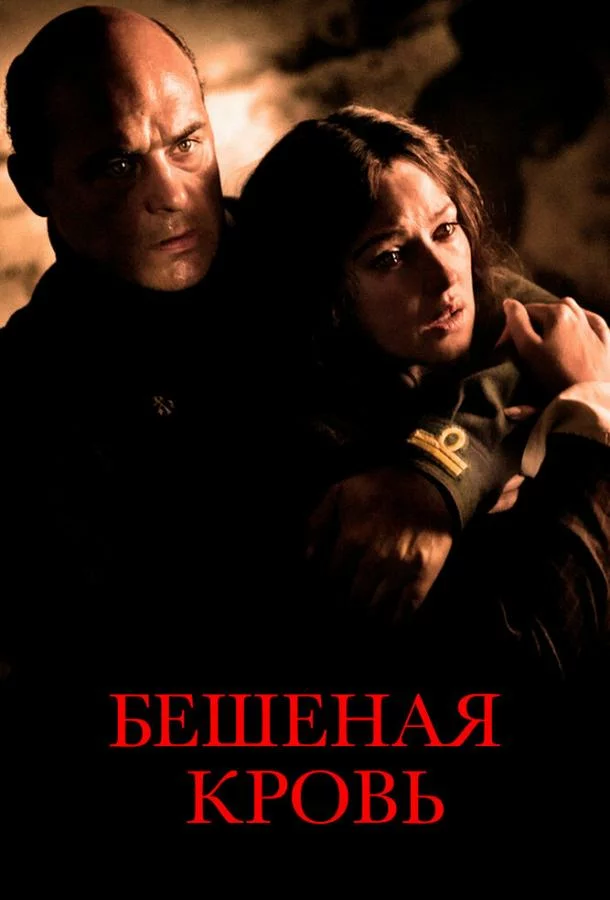постер