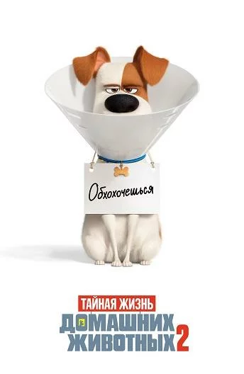 постер