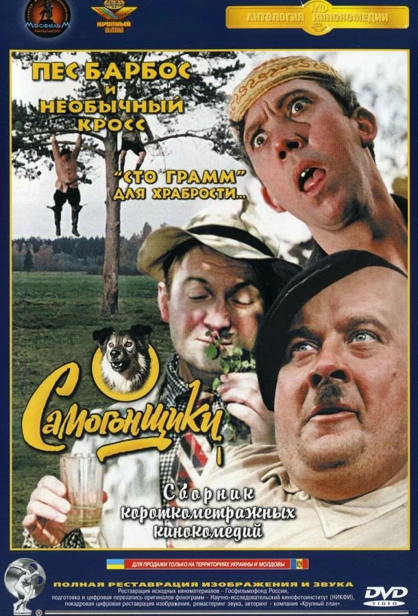 постер