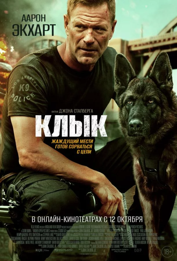 постер