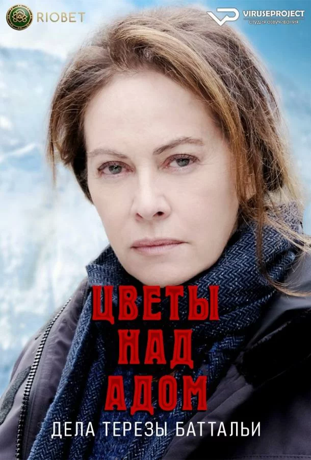 постер