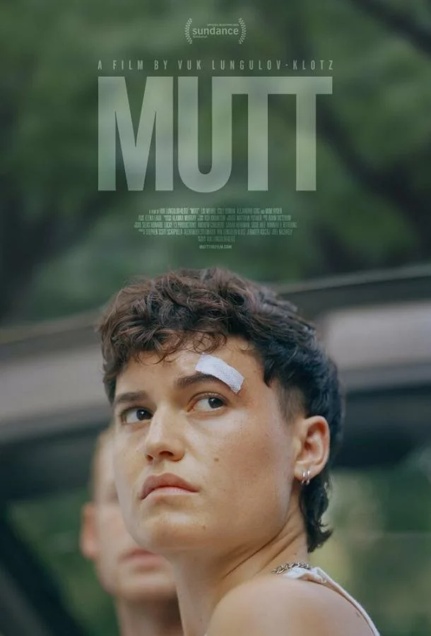 постер