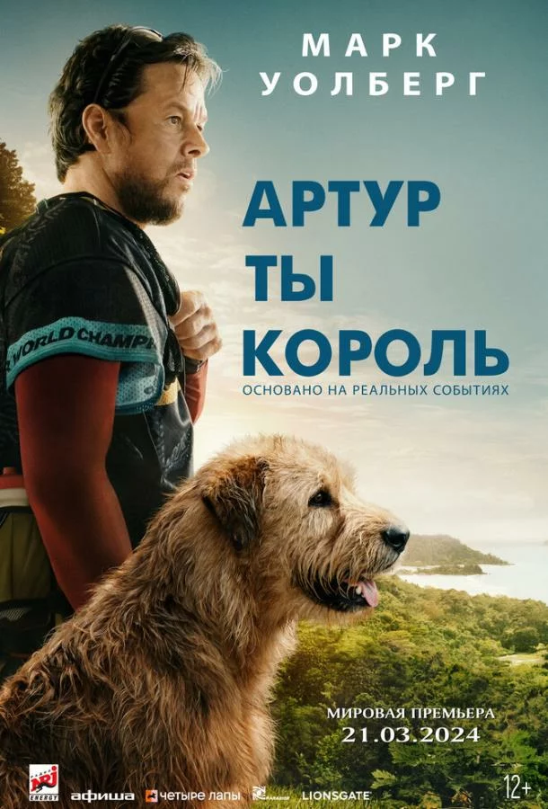 постер