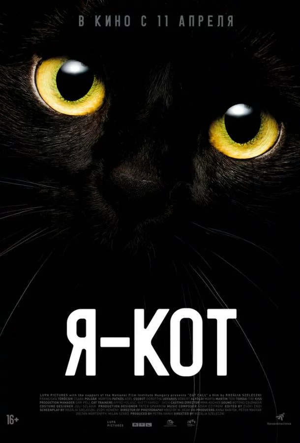 постер
