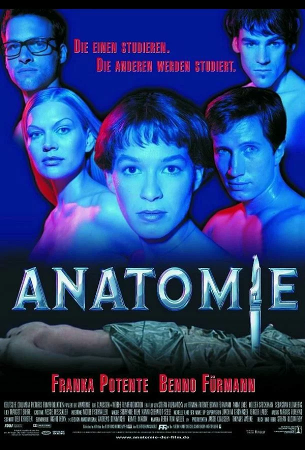 постер