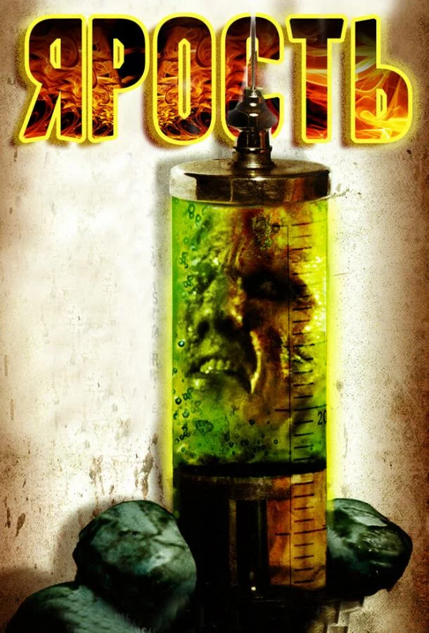 постер