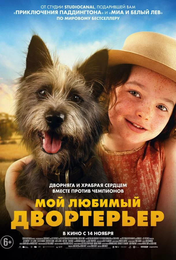 постер