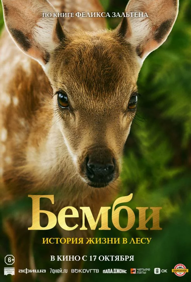 постер