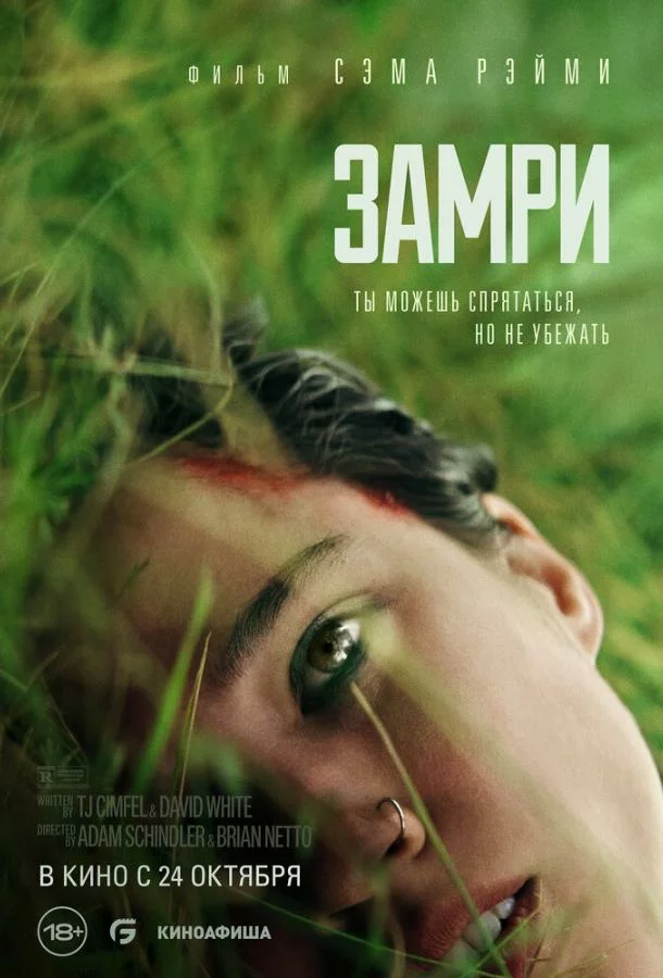 постер