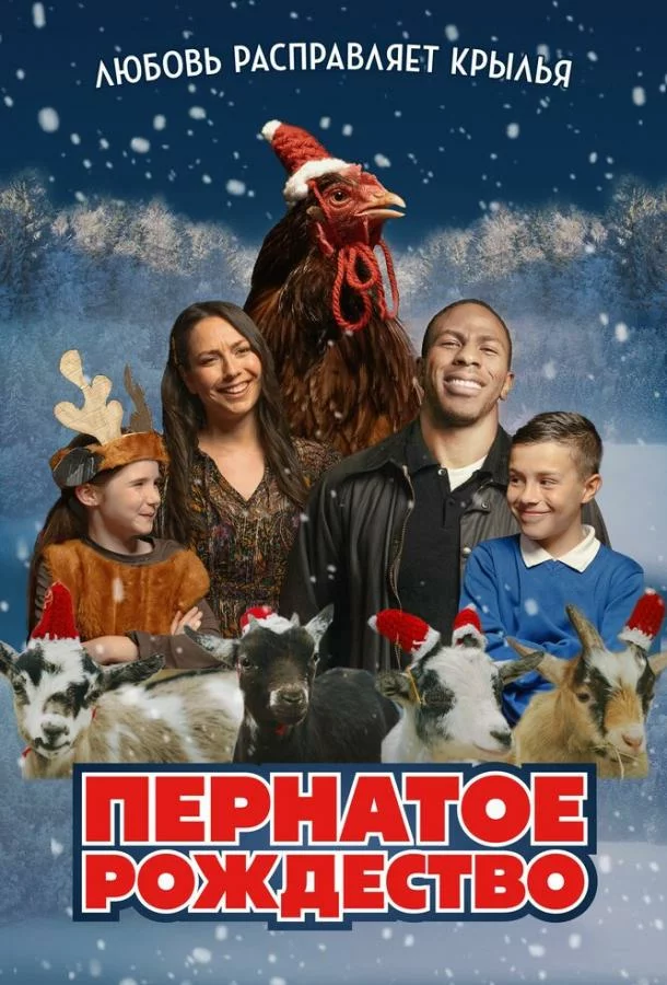 постер
